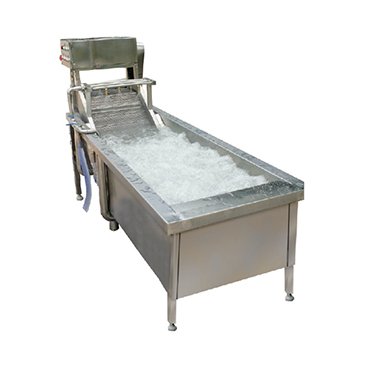 Gambar Air Bubble Vegetable Washer Qx 22